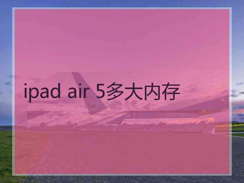 ipad air 5多大内存