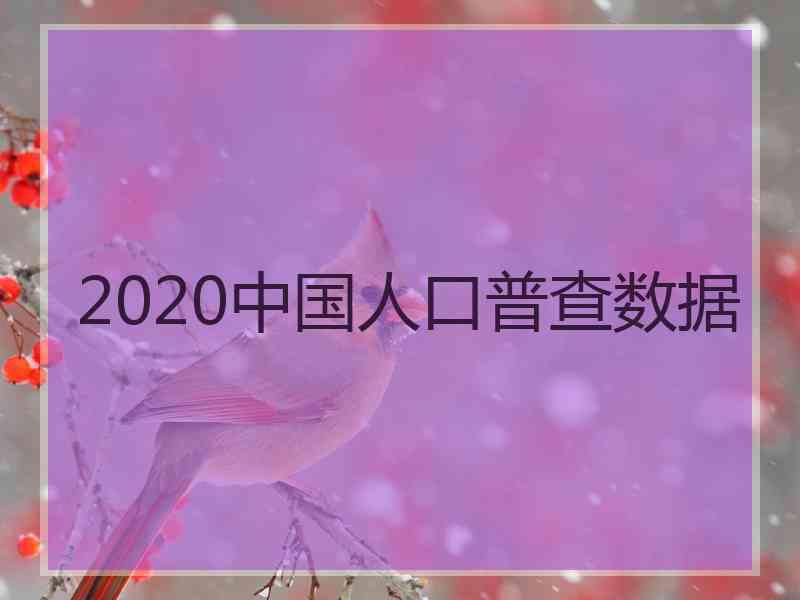 2020中国人口普查数据