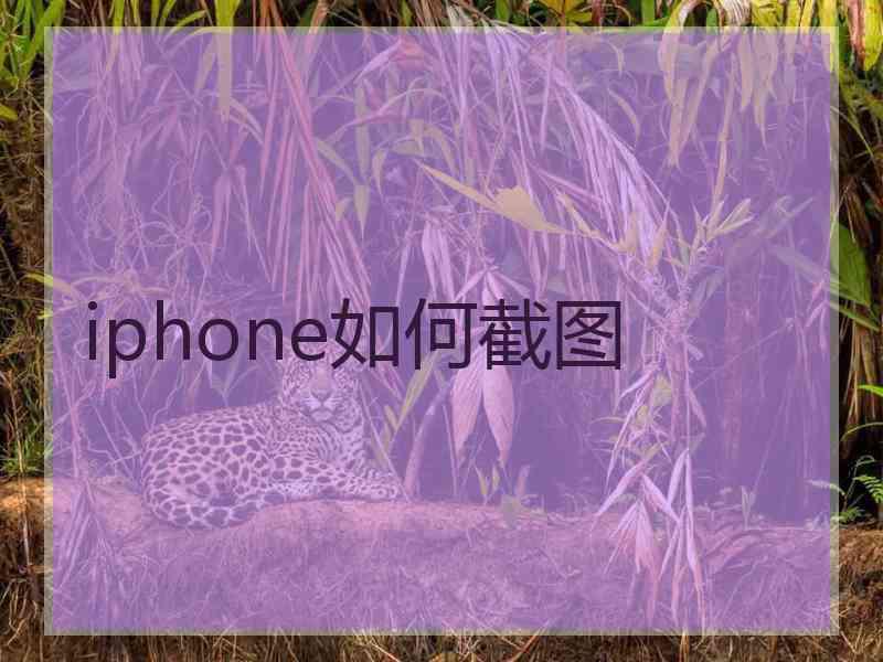 iphone如何截图