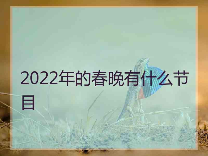 2022年的春晚有什么节目