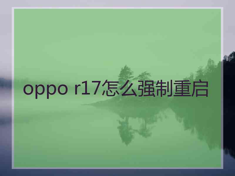 oppo r17怎么强制重启