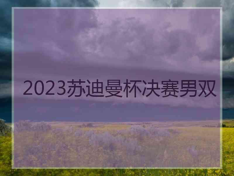 2023苏迪曼杯决赛男双