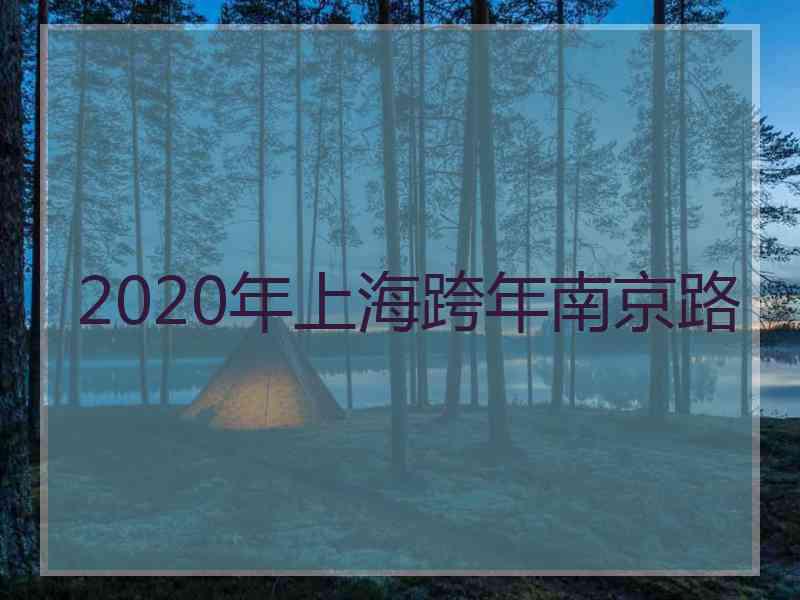 2020年上海跨年南京路