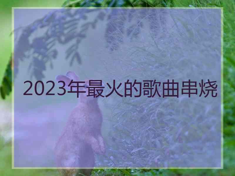 2023年最火的歌曲串烧