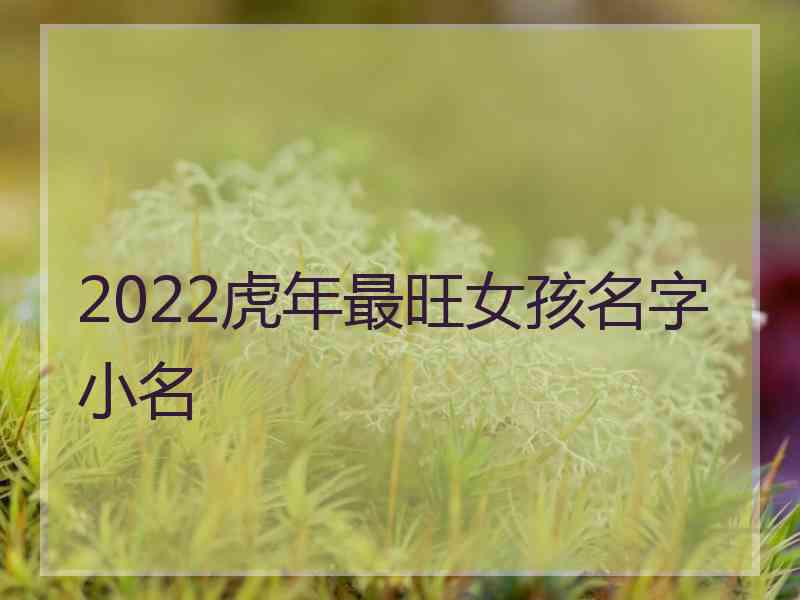 2022虎年最旺女孩名字小名