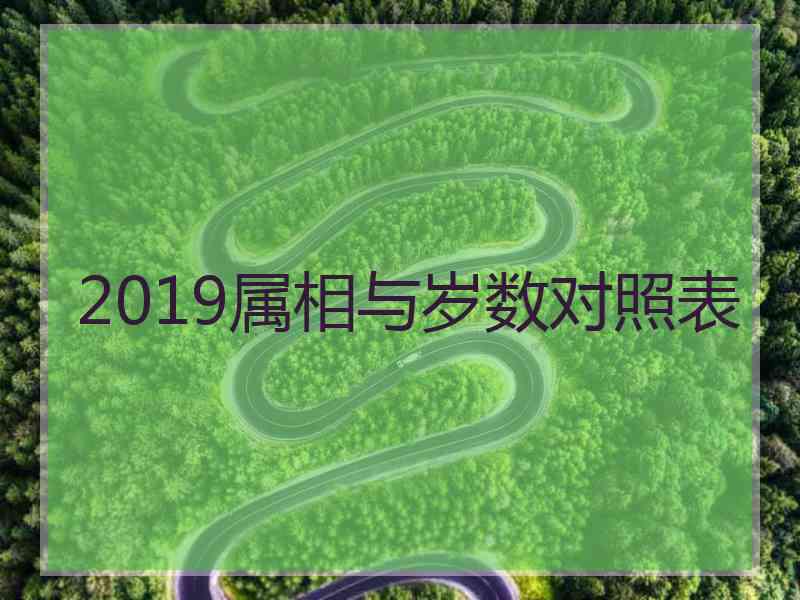 2019属相与岁数对照表