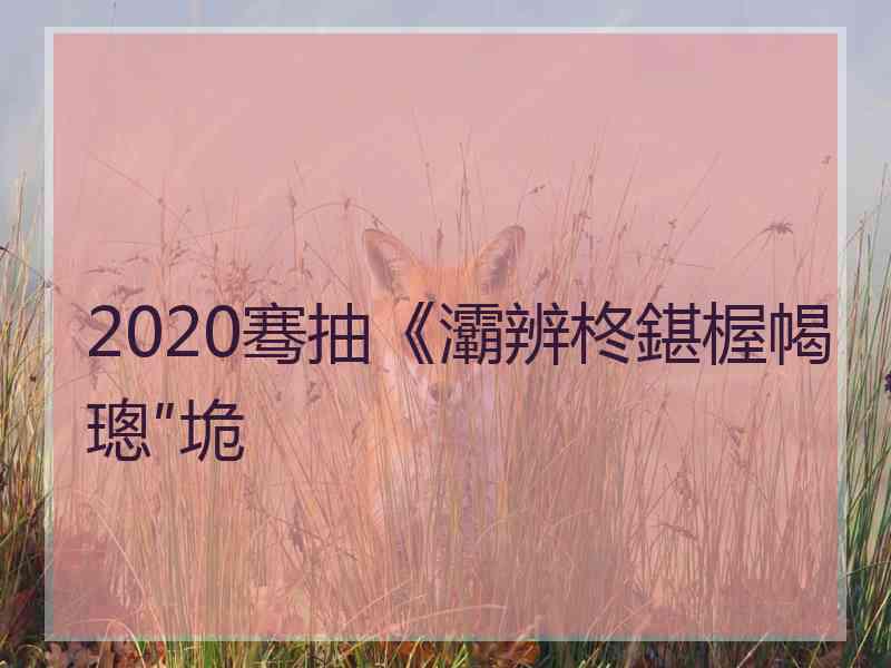 2020骞抽《灞辨柊鍖楃幆璁″垝