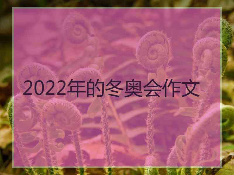 2022年的冬奥会作文