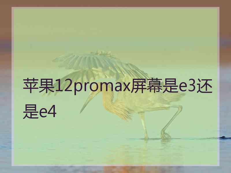 苹果12promax屏幕是e3还是e4