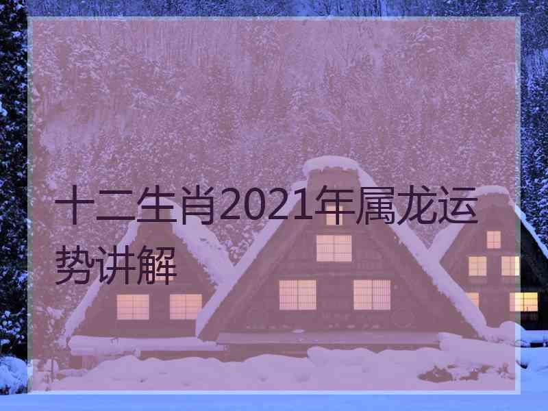 十二生肖2021年属龙运势讲解