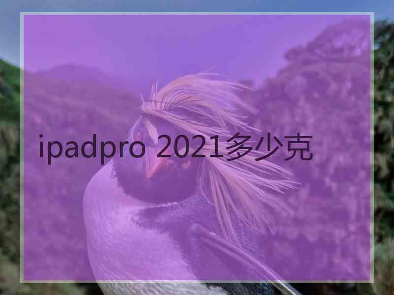 ipadpro 2021多少克