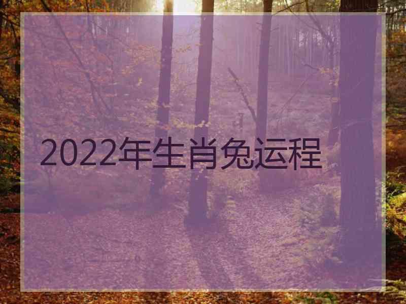 2022年生肖兔运程