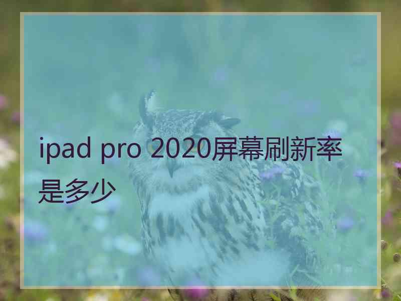 ipad pro 2020屏幕刷新率是多少