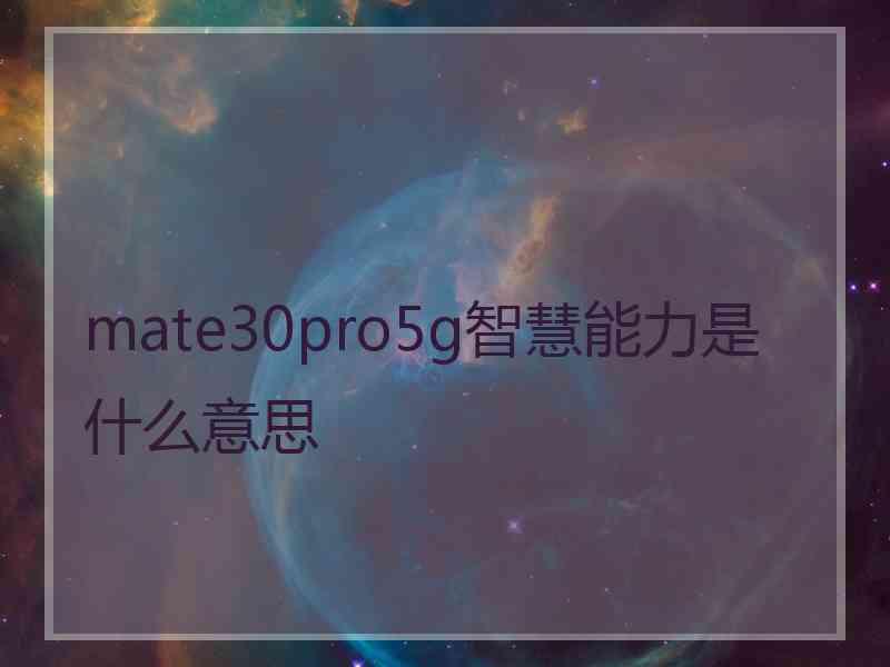 mate30pro5g智慧能力是什么意思