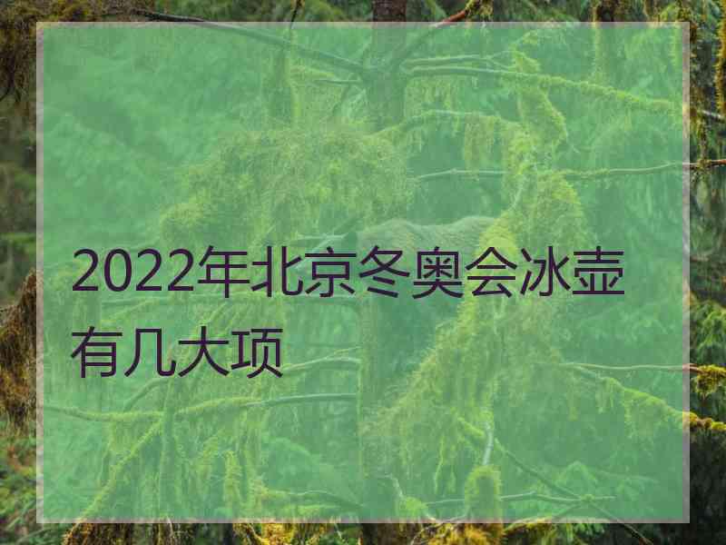 2022年北京冬奥会冰壶有几大项