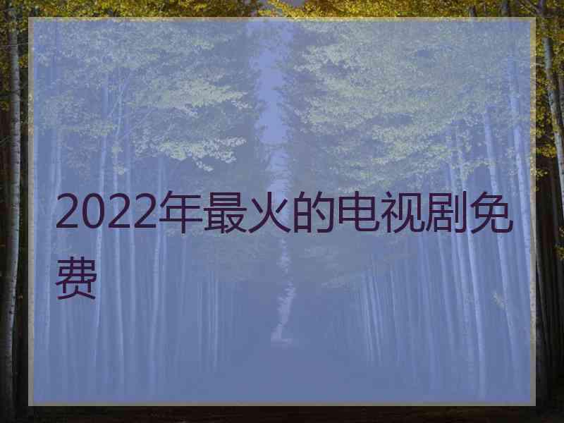 2022年最火的电视剧免费