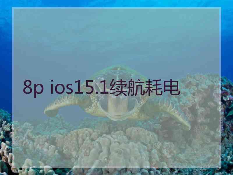 8p ios15.1续航耗电