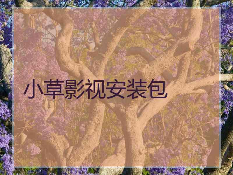 小草影视安装包