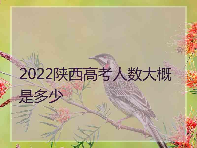 2022陕西高考人数大概是多少