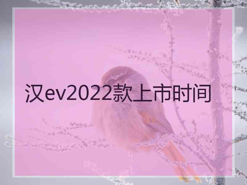 汉ev2022款上市时间