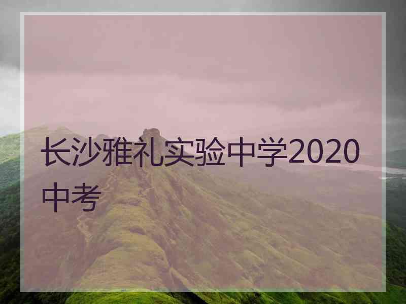 长沙雅礼实验中学2020中考