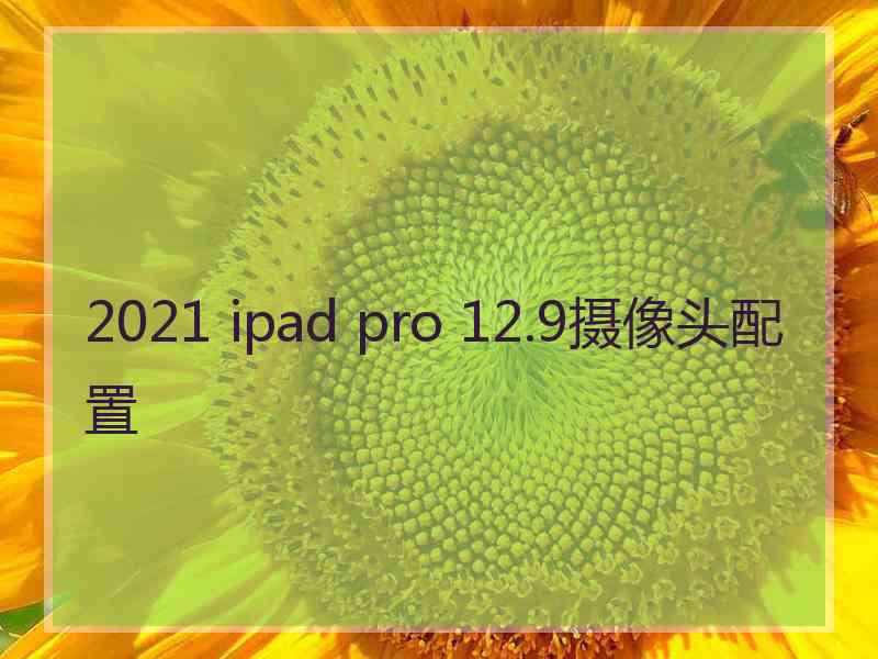 2021 ipad pro 12.9摄像头配置