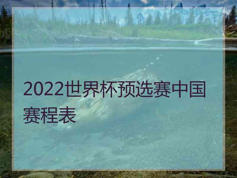 2022世界杯预选赛中国赛程表