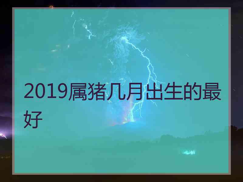 2019属猪几月出生的最好