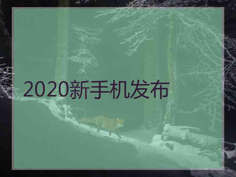 2020新手机发布