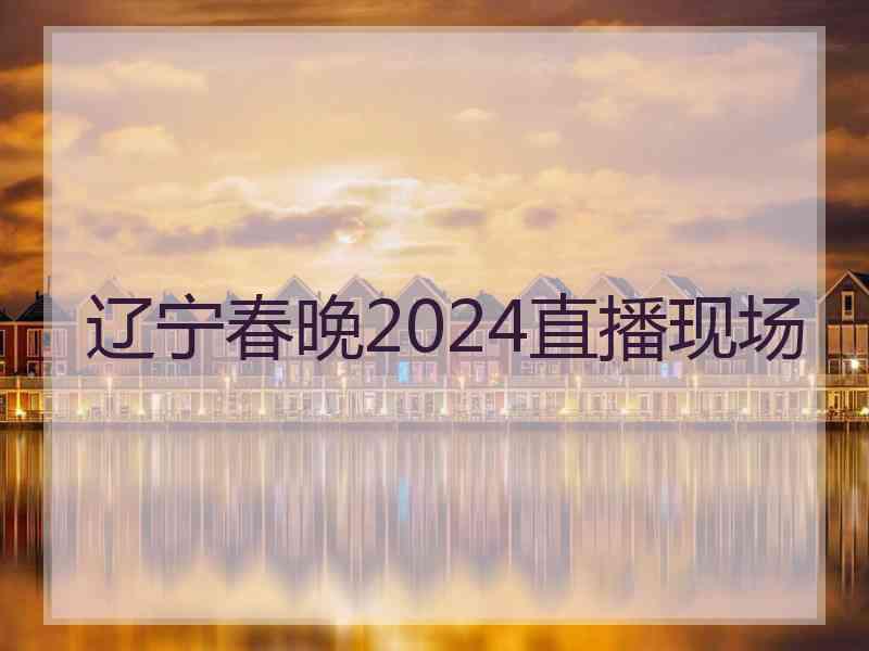 辽宁春晚2024直播现场