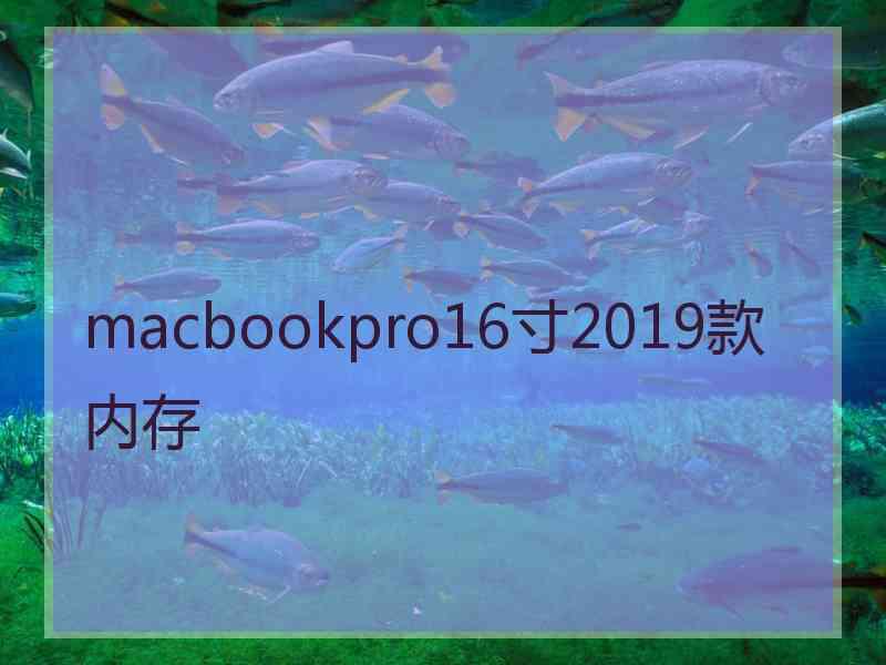 macbookpro16寸2019款内存