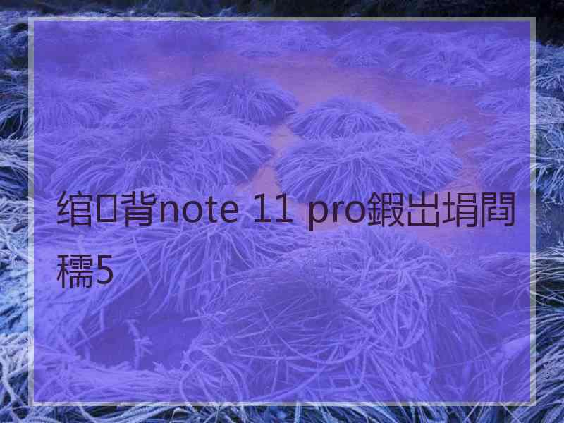 绾㈢背note 11 pro鍜岀埍閰穤5