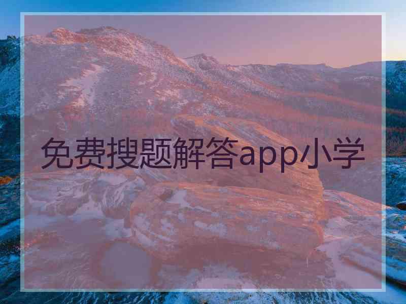 免费搜题解答app小学