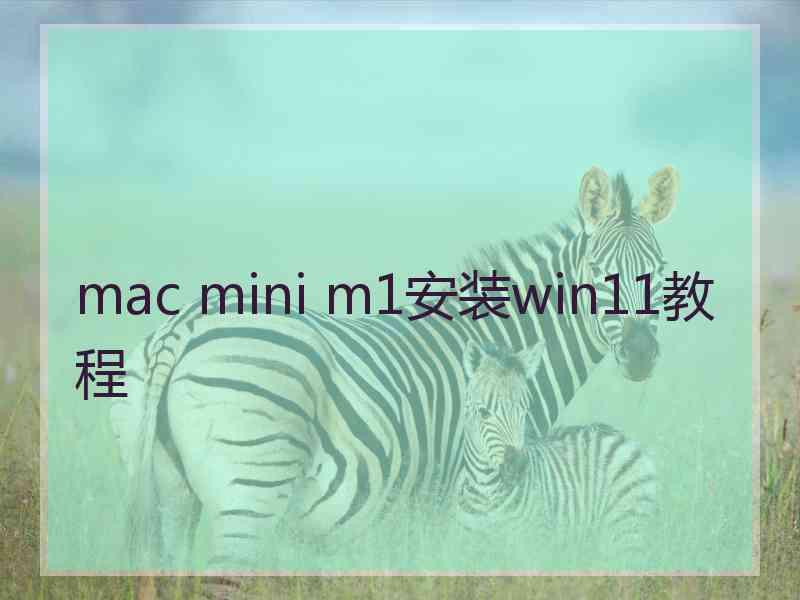 mac mini m1安装win11教程