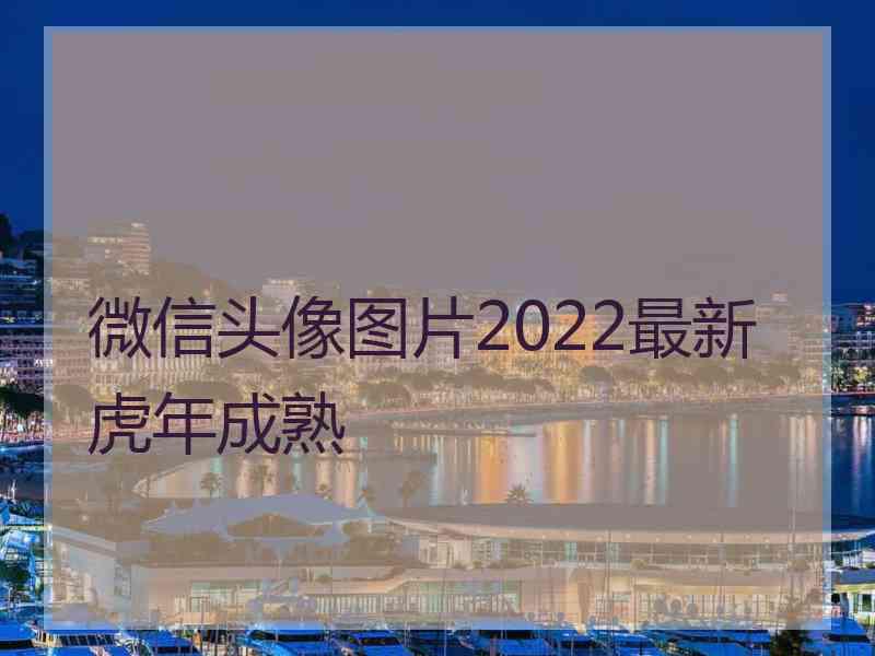 微信头像图片2022最新虎年成熟