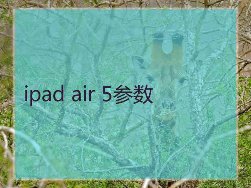 ipad air 5参数