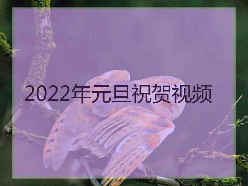 2022年元旦祝贺视频