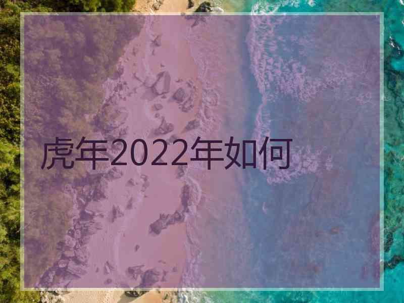 虎年2022年如何