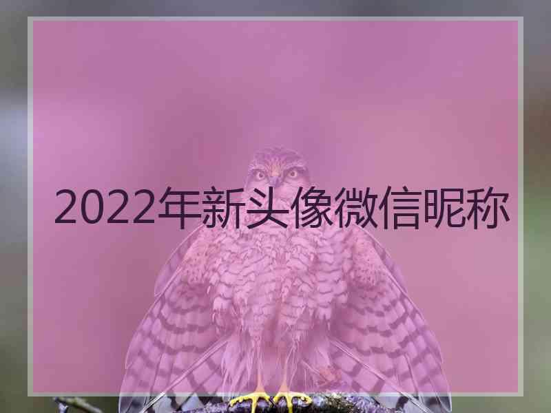 2022年新头像微信昵称