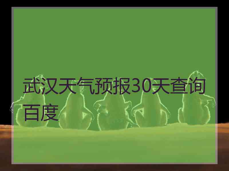 武汉天气预报30天查询百度