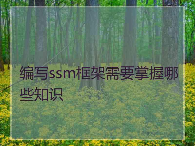 编写ssm框架需要掌握哪些知识