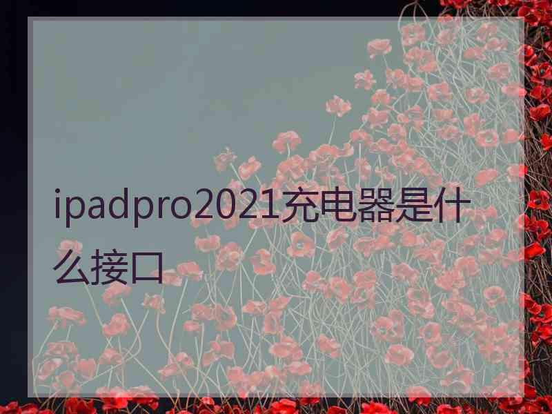 ipadpro2021充电器是什么接口