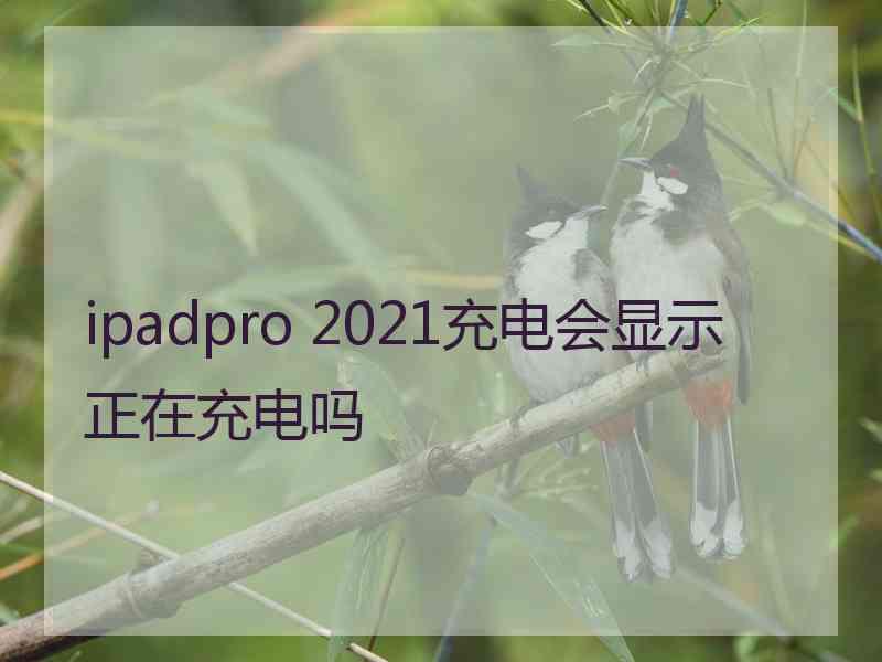 ipadpro 2021充电会显示正在充电吗