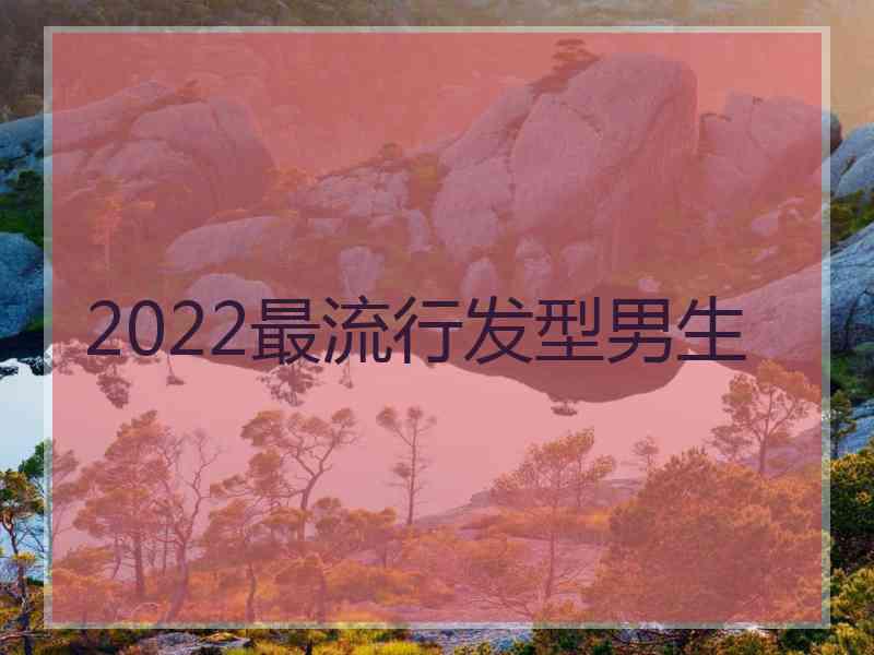 2022最流行发型男生