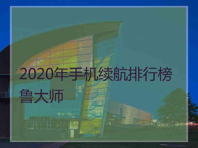 2020年手机续航排行榜鲁大师