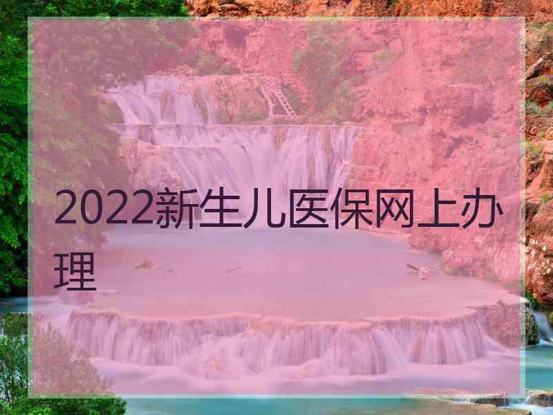 2022新生儿医保网上办理