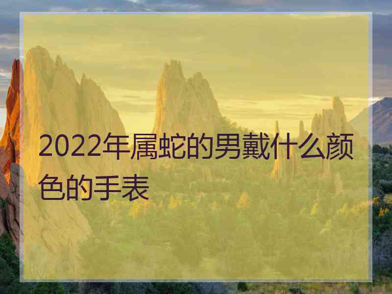 2022年属蛇的男戴什么颜色的手表