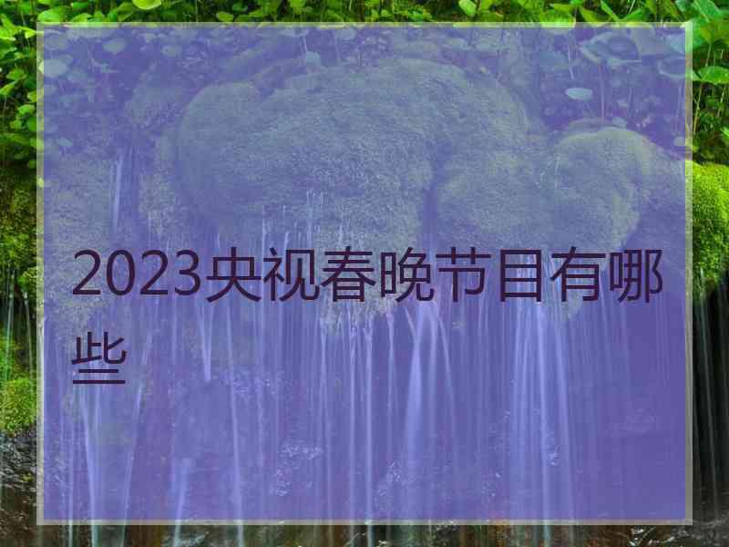 2023央视春晚节目有哪些