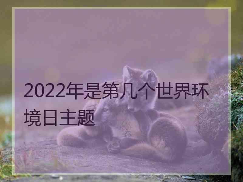 2022年是第几个世界环境日主题