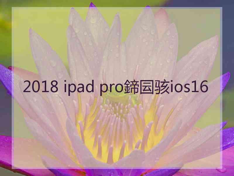 2018 ipad pro鍗囩骇ios16